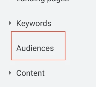 Google Ads audiences section
