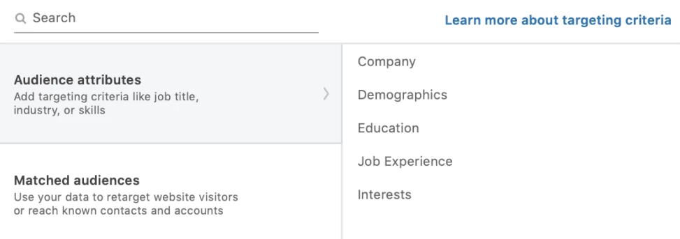 LinkedIn audience attributes