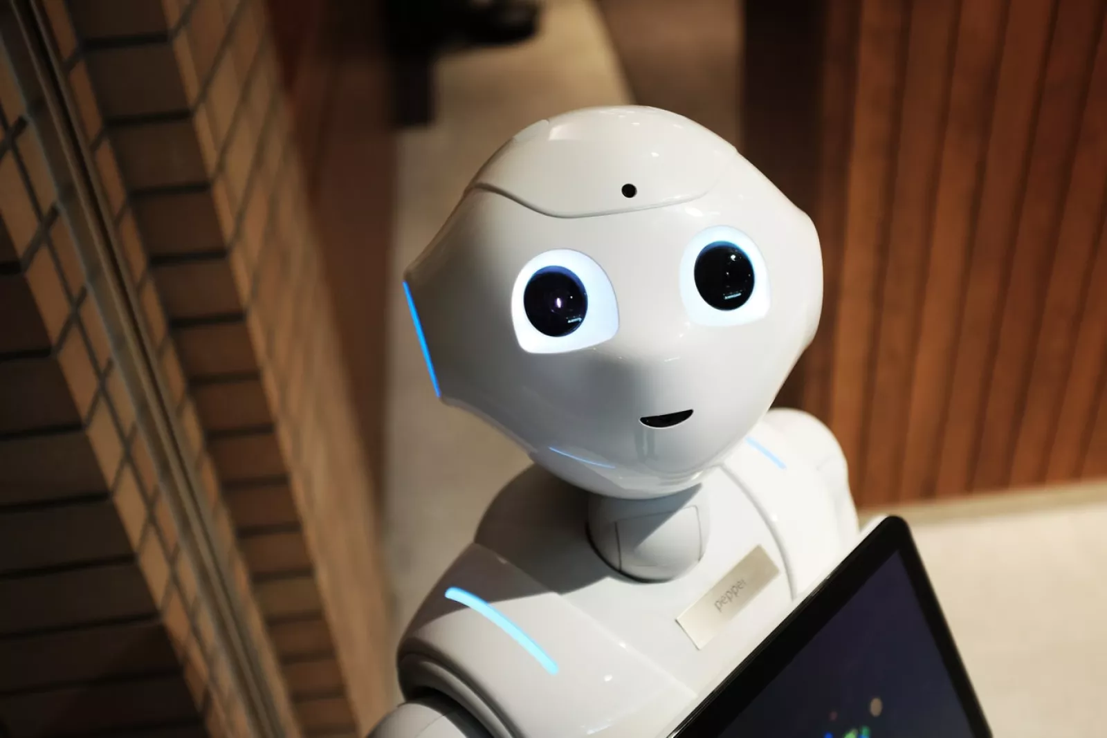 What is Bot Traffic?