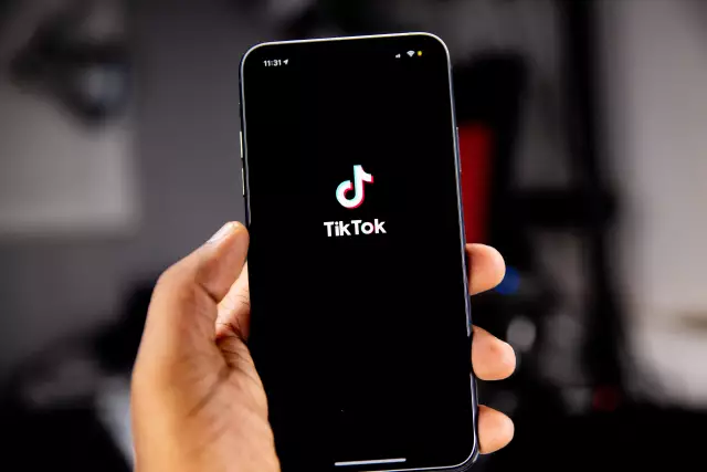 TikTok Statistics