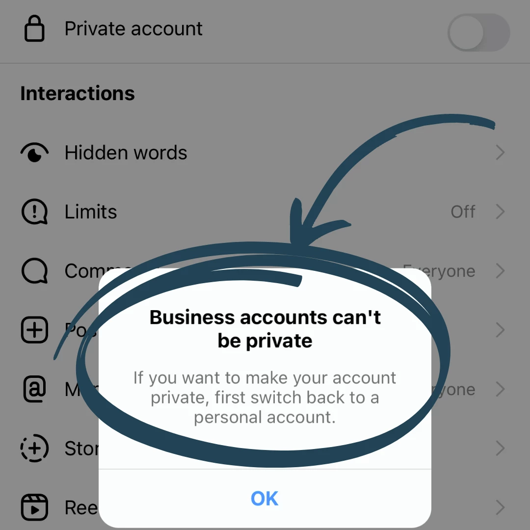 Instagram for Businesses